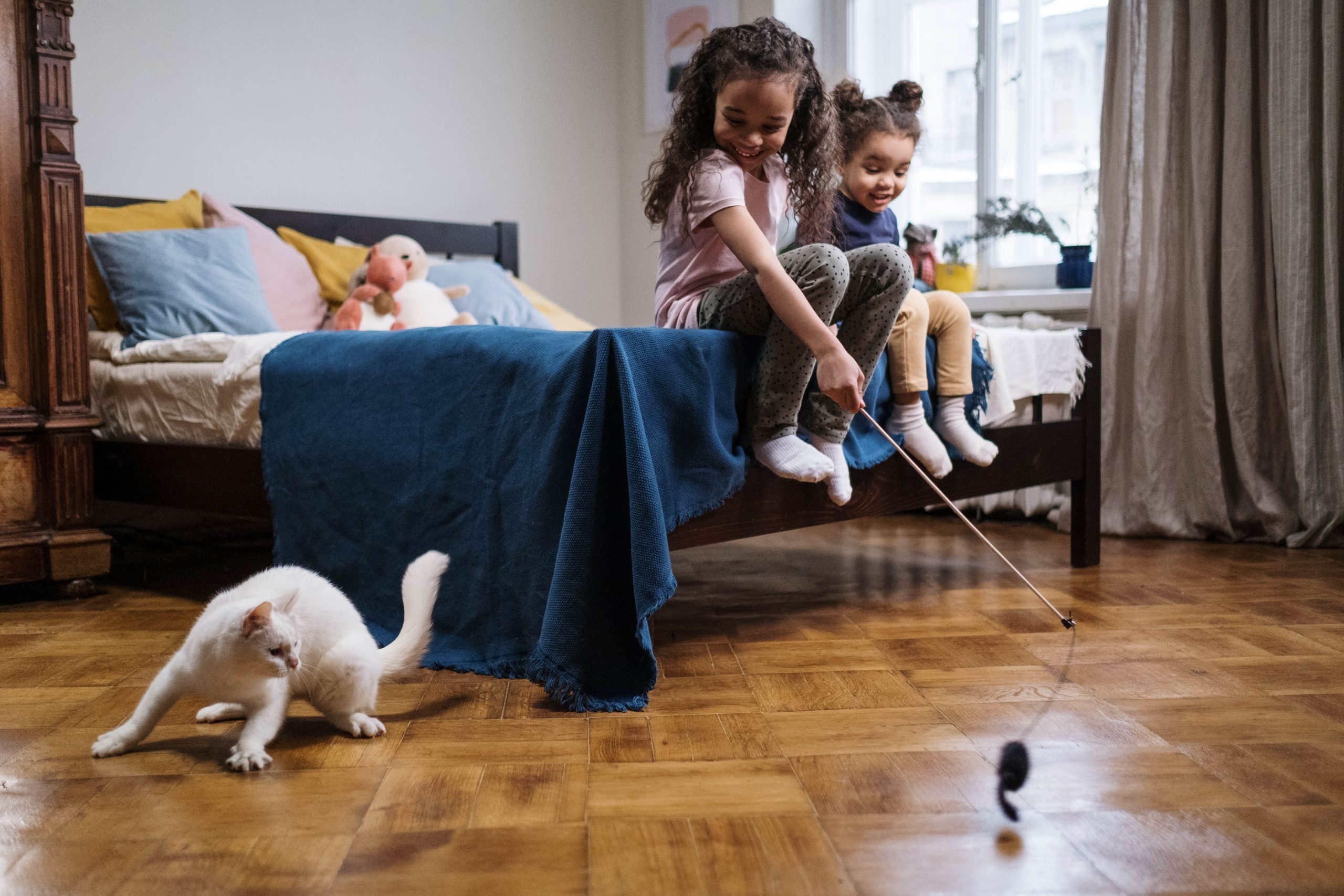 Zabawki dla kota – wędki i myszki jako sposób na angażującą rozrywkę